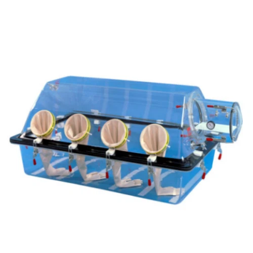 Acrylic Glove Box